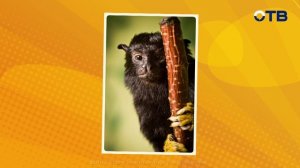 Свердловское утро от 06.03.26