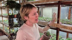 КАЛИБРАХОА.ОТВЕТЫ НА ВОПРОСЫ.