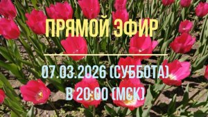 Анонс эфира 07.08.2026
