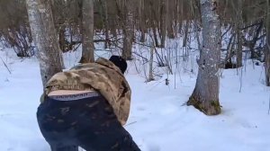 КАК СПИЛИТЬ ДЕРЕВО ЗА 2 МИНУТЫ БЕЗ БЕНЗОПИЛЫ!