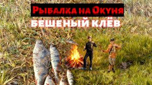 Осенний Окунь: Мы с Братом на Рыбалке!