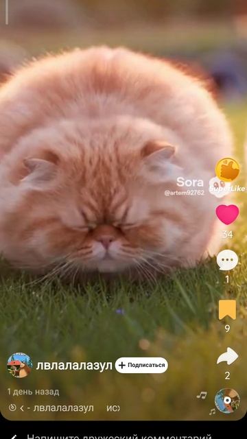 kotokbas stabilization. 