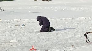 VID_20260307_115409_668