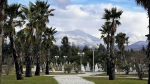 Орнитологический парк Сириус|Сбежали из Сочи|жизнь на Кавказе|Солнце в горах| Новый выпуск| Птицы|