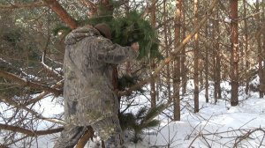 Куница. Как приманить куницу. Первый опыт. Галечник.