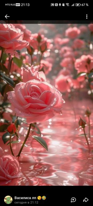 опять же ночёвка