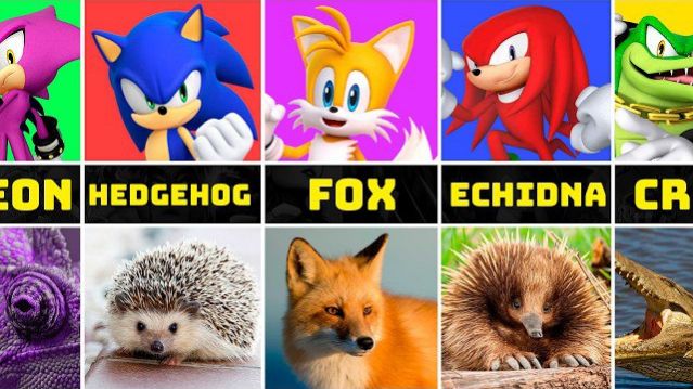 РЕБЯТА Я РЖУ БЛИН СОНИК ПЕРСОНАЖИ В РЕАЛЬНОМ МИРЕ ПОДБОРКА ПЕРСОАНЖЕЙ СОНИКА НО ЭТО ЖИВОТНЫЕ РЕАКЦИЯ