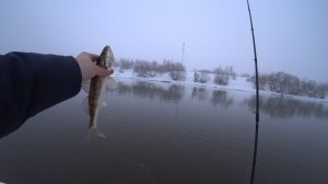 Напильник и Sportex. Рыбалка на воблеры 1 марта на Москва реке