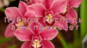 Пускай Господь вам принесет