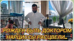 САМВЕЛ АДАМЯН, РОЖДЕН БЫТЬ ДОКТОРОМ, НАРЦИССЫ РАСЦВЕЛИ..