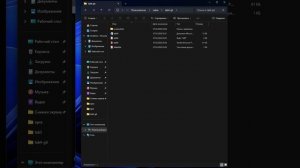 скринкаст выполнение лабараторной 4