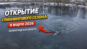 Открытие спиннингового сезона в марте 2026.