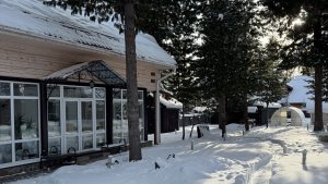 Первые работы в теплице в начале марта. Готовлю лоджию для рассады