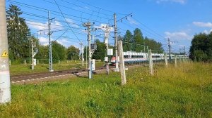 Сапсан через переезд в п. Любань.