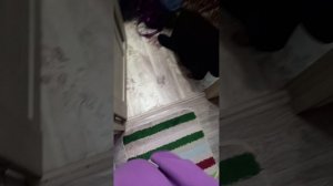 БАУЛЫ ВСЕ СТОЯТ!!