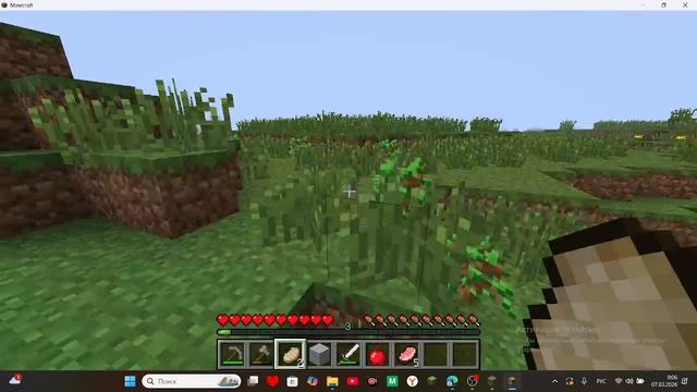 выживаю в мире Rokzy