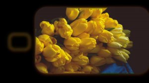 Вместе с поздравили женщин в разных уголках Республики с наступающим праздником.