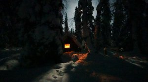 Озеро монстров. Столько окуня я ещё не видел. Дикая рыбалка и жизнь в тайге.