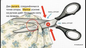 Физика 7 класс параграф 55 РЫЧАГИ В ТЕХНИКЕ БЫТУ И ПРИРОДЕ краткий пересказ