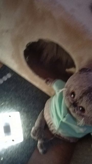 Миша пошёл в рапапарк