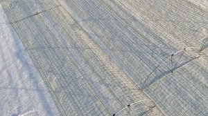 Раколовки Дорожки