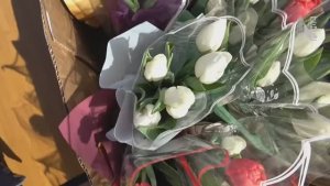 Цветы в городе | Находка | 7 марта 2026