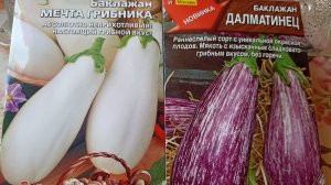 Гуляю с Симой. Сею баклажаны и болтаю.