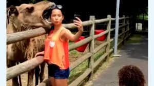 Самые Прикольные Моменты с Животными и Людьми