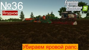 FS 25 ч.36 Палессе GS12;Vektor420; Дон 1500Б Выехали убирать яровой рапс.
