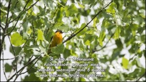 115. Здравствуй, Родина моя!