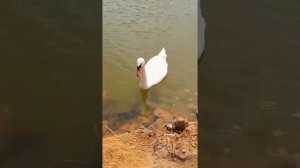 XakeR - Лишь бы ты со мною была »