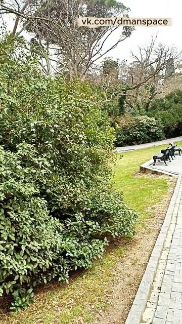 Зелёные сугробы намного приятнее привычных белых