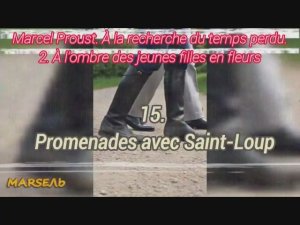 15. Promenades avec Saint-Loup
