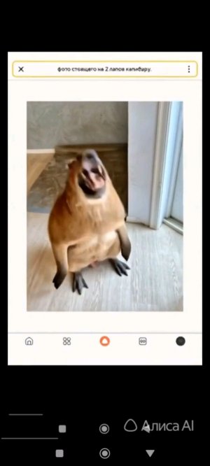 проводим обунову