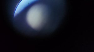 увлечение под микроскопом.