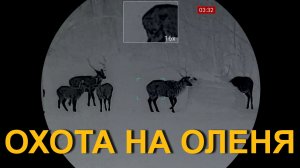 Охота на ОЛЕНЯ 💥 закрытие февраля