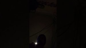 упс хоббифорте на улице первый раз влог с хорсом на улице