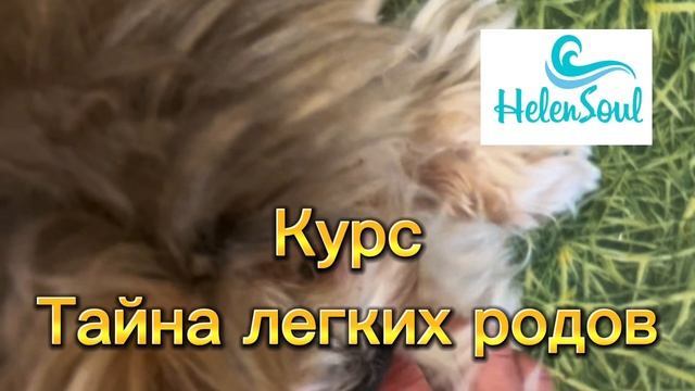 Медитации для беременных