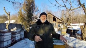 5марта  ОСНОВНАЯ ЗАДАЧА ПЧЕЛОВОДА в это время