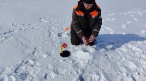 Рыбалка на жерлицы в марте.