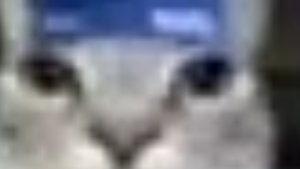 вованчик про