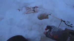 Реальная рыбалка без монтажа № 9. Зимняя рыбалка 2025.