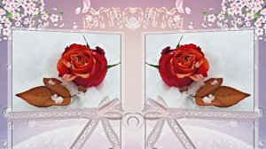 С 8 Марта! Цветочная сказка для женщин 2 от Киностудии Мудрого Кота Тимофея!