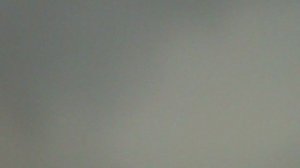 Речные крачки. на восходе солнца