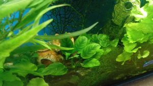 Прямой Эфир Из Страны Россиякреветка