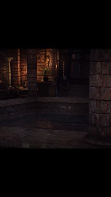 #witcher3 | Квест "Сокровища графа Ройвена"- ограбление Дийкстры #games #rpg