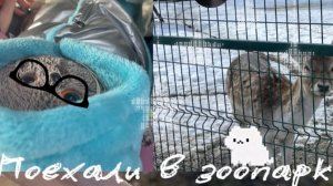 Влог Миша в зоопарке