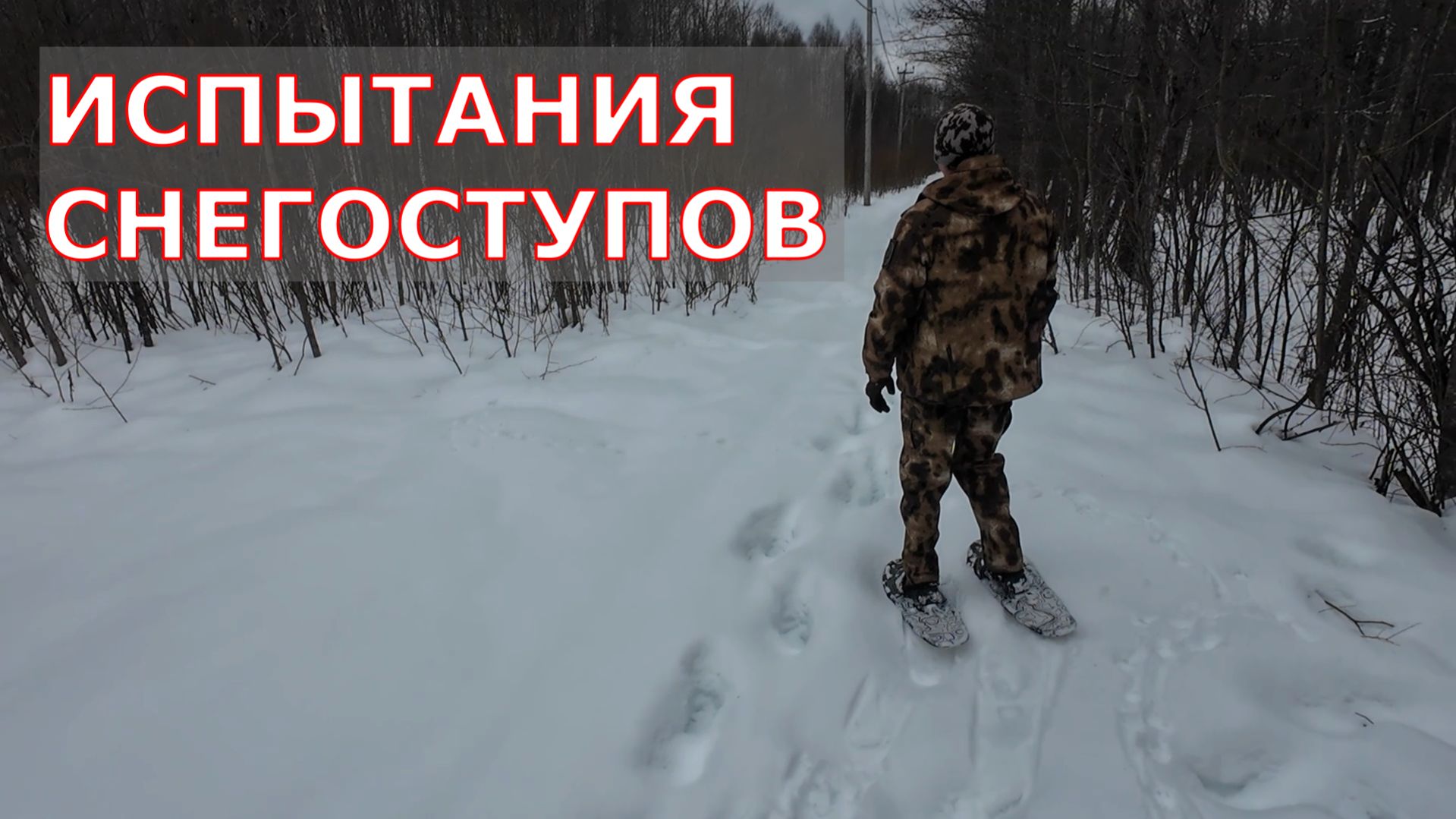 СНЕГОСТУПЫ - ИСПЫТАНИЯ ХОДИМ-БРОДИМ ПО ЛЕСУ