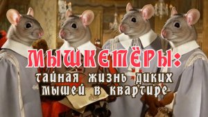 Мышкетеры, тайная жизнь диких мышей в квартире