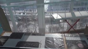 Первые всходы гвоздики на рассаду